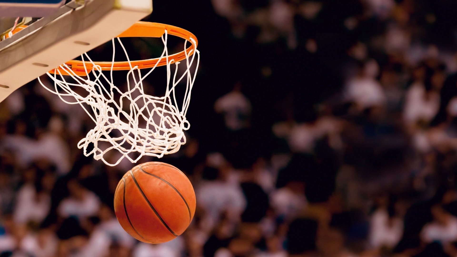 鹈鹕血拼尼克斯,哈利伯顿刷新纪录,这一夜,NBA把硬和巧都打到了极致